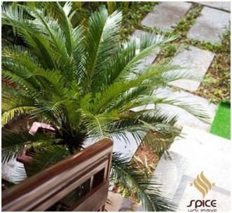 Spice Holidays Ξενοδοχείο Kochi Εξωτερικό φωτογραφία